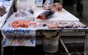 Toxic foods left on counters