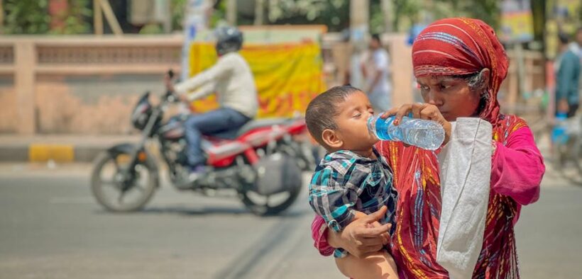 Preventive hydration tips for dogs during hot weather