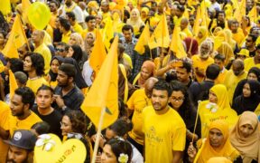 Cat motion sickness signs causes and support