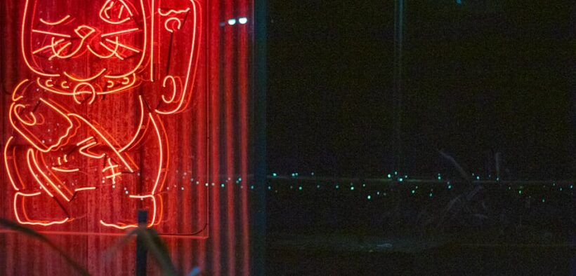 Cat bile vomiting intermittent digestive sign