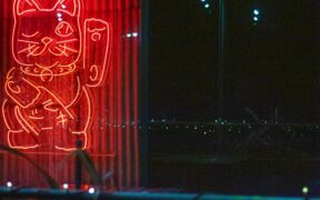 Cat very dark stool after digestive episode warning sign