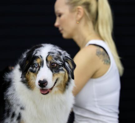 How pets show discomfort during grooming