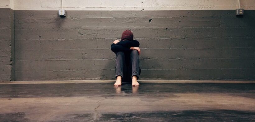 Anxiety in indoor only dogs