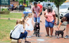Dogs Reacting at Crowded Dog Parks