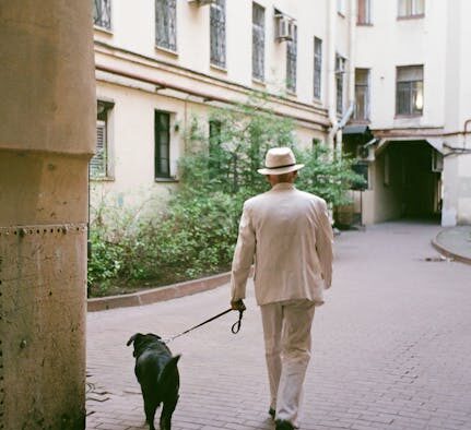 Dogs reacting at off leash areas