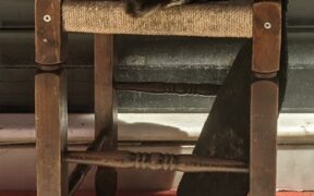 Cat not passing stool for days signs and urgent concerns