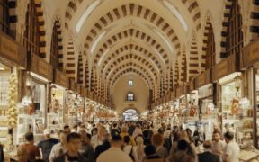 Toxic spices for cats