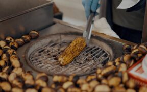 Corn cob obstruction cats