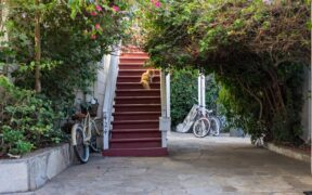 Kitten proofing your home essential steps