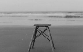 Cat soft stool after different water source digestive sign