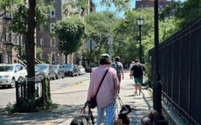 Dogs Stiffening Around New Environments