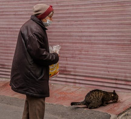 Preventing recurrence of urinary issues in cats