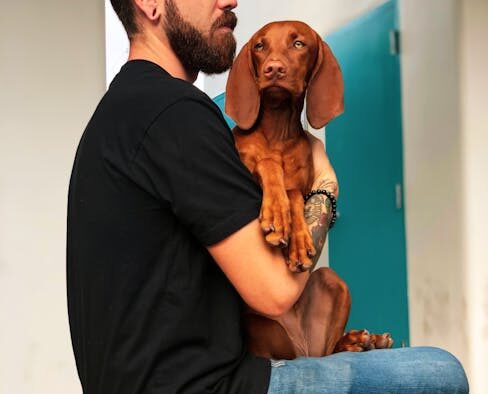 Dog inflamed skin around toes symptoms and what to watch for