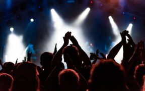 Cats becoming agitated during noisy events