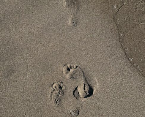 Cat vomiting on an empty stomach early morning pattern