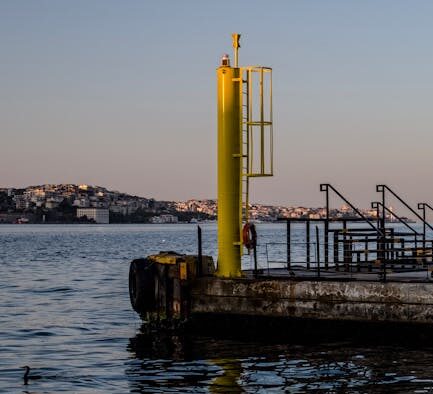 Cat lethargy reasons common conditions and red flags