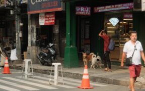 Chronic constipation in dogs ongoing signs and concerns