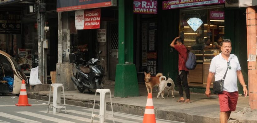 Chronic constipation in dogs ongoing signs and concerns