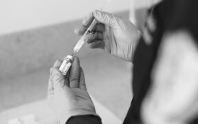 Basic Dental Care for Dogs