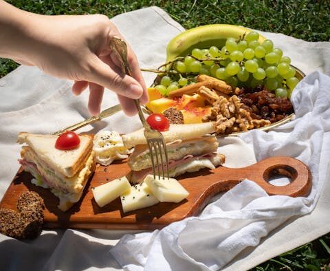 Grapes and raisins toxicity in dogs