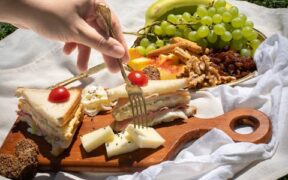 Grapes and raisins toxicity in cats