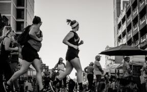 Dogs reacting during busy hallway movement