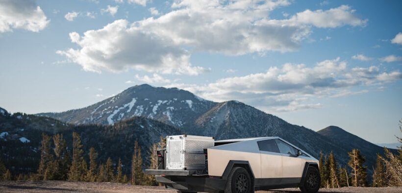 Urine smells metallic pets