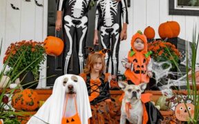 Toxic Halloween foods pets
