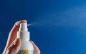 Hummus toxicity pets