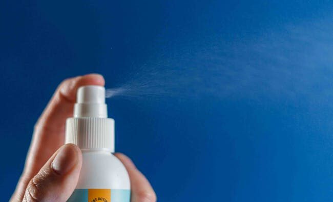 Custards toxicity pets