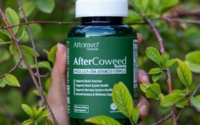 Supplements for resilient immune system in dogs