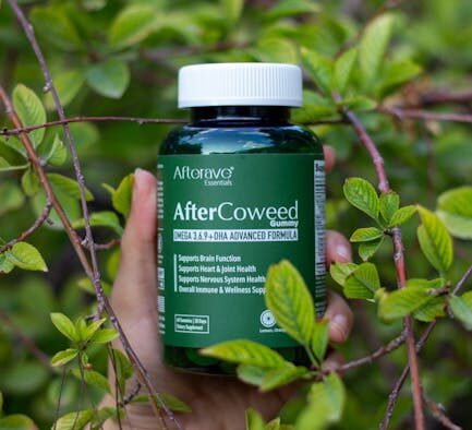 Supplements for resilient immune system in dogs