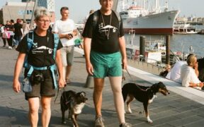 Building longer stays for dogs