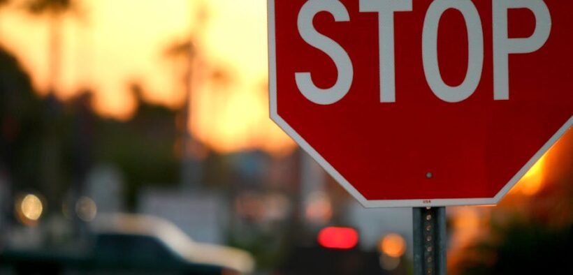 How to recognize parasites in outdoor cats and early warning signs at home