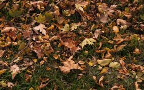 Dry gums and urination changes