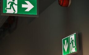 Preventing escape attempts in indoor cats