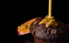 Hot chocolate toxic to pets