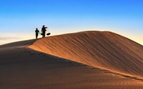 High volume urination cat