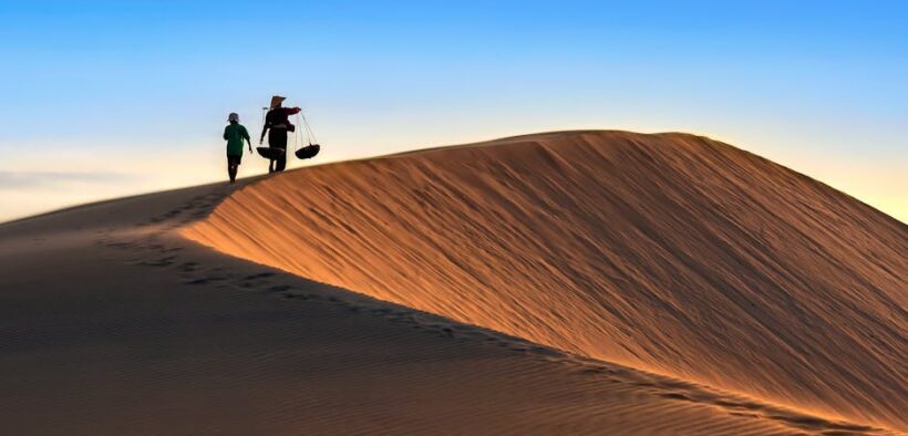 High volume urination cat