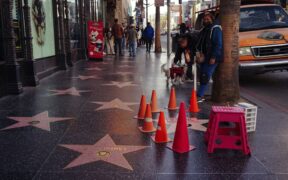 Dogs guarding space from visitors