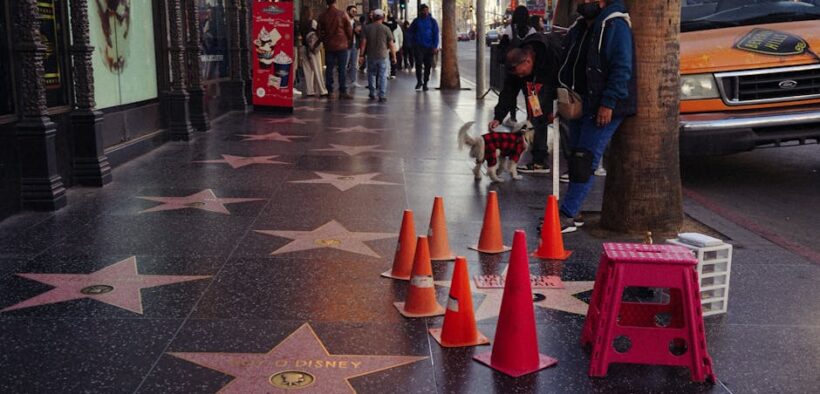 Dogs guarding space from visitors