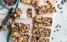 Protein bars toxic to dogs