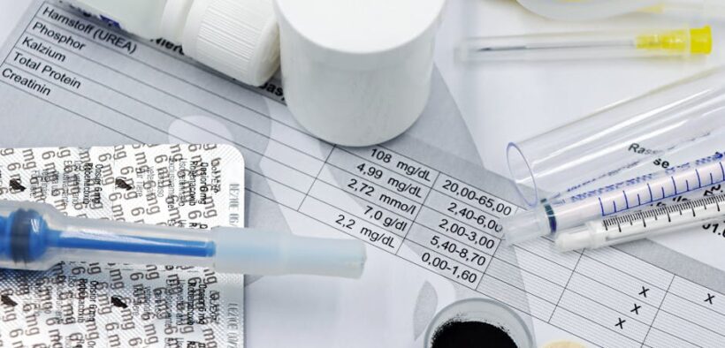 Digestive health supplements for cats