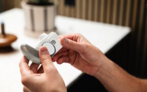 Preventive lung health for dogs with past respiratory issues