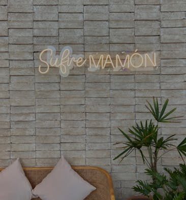 Ticks in rural cats signs symptoms and when to see a vet