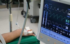 Cat scabs along back early signs and monitoring