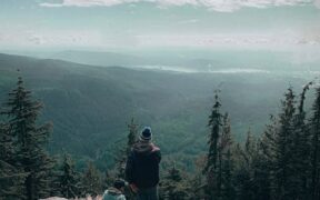 High volume urination dog