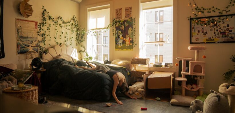 Anxiety in apartment cats