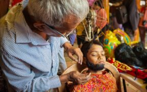Pets Learning Patience During Grooming