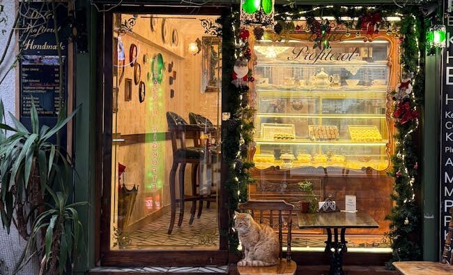 Holiday desserts toxic cats